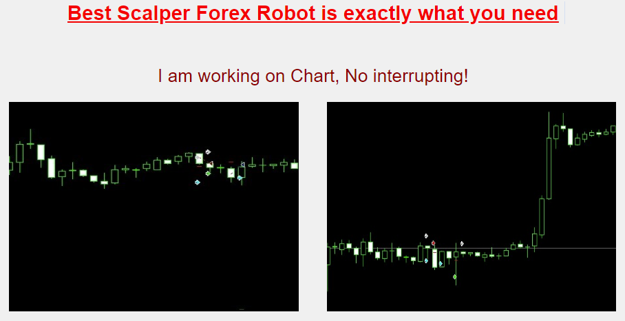 Best Scalper Forex Robot公式サイトのキャプチャ画像